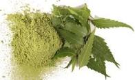 LE NEEM